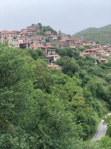 a group of houses on a hill with trees at GUESTHOUSE ''ΧΡΥΣΑ'' in Dimitsana