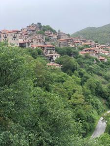 a group of houses on a hill with trees at GUESTHOUSE ''ΧΡΥΣΑ'' in Dhimitsana