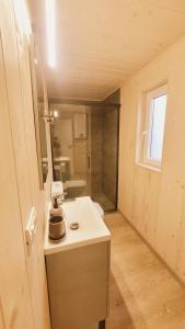 a small bathroom with a sink and a shower at Sycamore Retreat Fundata in Fundata +18 photos