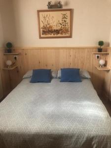 een bed met twee blauwe kussens in een slaapkamer bij Valvanera 30 in Berceo