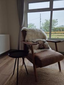 een kat op een stoel voor een raam bij Hebridean Inn in Broadford