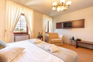 Televízia a/alebo spoločenská miestnosť v ubytovaní Hotel Plumlov