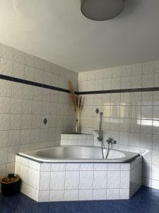 Vannituba majutusasutuses Ferienwohnung Bärenblick Achensee