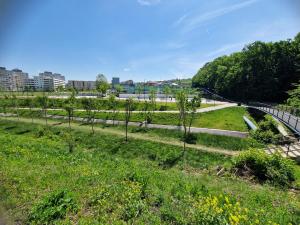 un parc avec des arbres dans l'herbe et une route dans l'établissement BRB Park Studio, à Cluj-Napoca
