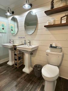 een badkamer met een toilet, een wastafel en spiegels bij Iggy & Al's Treehouse - Alice Lake in Hazelhurst