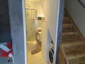 een badkamer met een douche, een toilet en een trap bij Studio cosy avec terrasse et jacuzzi en plein air in Rians