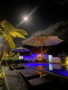 un patio con sombrillas y una piscina por la noche en Pondok Tetebatu Cottages and Cafe, en Tetebatu