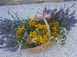 a basket of fruit sitting on the ground at Agriturismo Il Moro in Gubbio