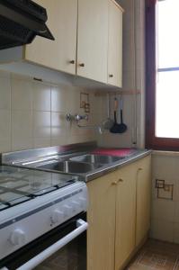 Il comprend une cuisine équipée d'un évier et d'une cuisinière. dans l'établissement Appartamento Stella Di Mare, à Campomarino