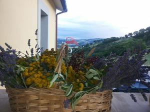 two baskets of fruit and flowers on a balcony at Agriturismo Il Moro in Gubbio