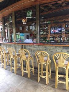 um grupo de cadeiras alinhadas num bar em TROTTERS B&B KENOL em Gitura