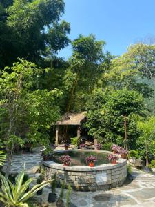 a garden with a small house in the background at 18 Soesunn in Māngwa +13 photos