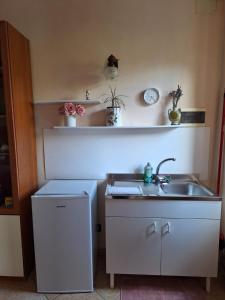 una pequeña cocina con fregadero y encimera en B&B Bertaina Mauro, en Cavallermaggiore