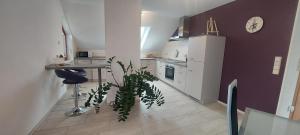 Η κουζίνα ή μικρή κουζίνα στο Ferienwohnung Xeny