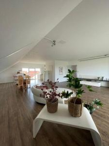 a living room with two potted plants on a table at Penthouse Langenloiserberg in Krems an der Donau