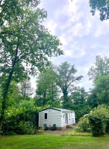 Camping de Pallegarste Villa 141 في Mariënberg: مقطورة بيضاء صغيرة في ساحة بها أشجار