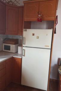 a white refrigerator in a kitchen with wooden cabinets at house FYNTIKAKH - SKALA in Anopoli Sfakion
