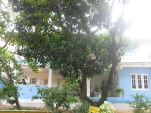 uma casa com uma árvore em frente em Casa de Temporada das Mangueiras em Olinda