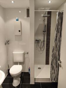 a bathroom with a toilet and a shower at HOG Apartment Nürnberg St. Peter in Nuremberg