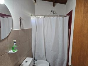 La salle de bains est pourvue d'un rideau de douche blanc et de toilettes. dans l'établissement Dpto BBB, à Zapala