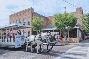 two white horses pulling a trolley down a street at Bluewater Downtown Cottage in Wilmington