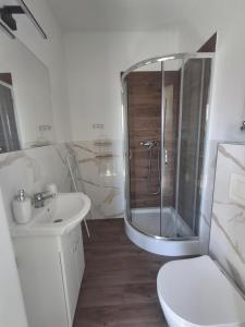 uma casa de banho com um chuveiro, um WC e um lavatório. em Kompas em Krynica Morska