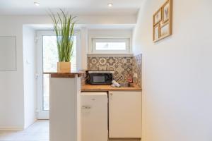 Η κουζίνα ή μικρή κουζίνα στο Ferienwohnung Kleiner Sandloper +4 φωτογραφίες