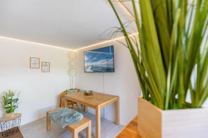 Μια τηλεόραση ή/και κέντρο ψυχαγωγίας στο Ferienwohnung Kleiner Sandloper