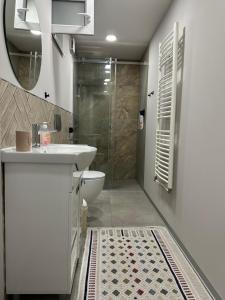 een badkamer met een douche, een wastafel en een toilet bij Day & Night Apartment in Ćuprija