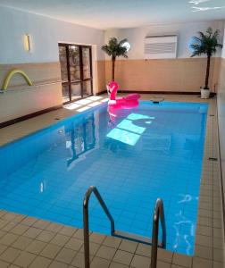- une piscine avec un cygne rose dans l'eau dans l'établissement Huus ButterbeidieFische Wohnung 8, à Wyk auf Föhr