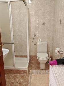 a bathroom with a shower and a toilet and a sink at Apartman Vera in Crikvenica