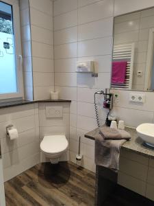 a bathroom with a toilet and a sink at Hotel Gästehaus Stock Zimmer Wasserfall in Friedrichshafen