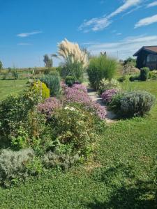 a garden with flowers and plants in a field at Apartmani Vinea Lana in Vrbovec