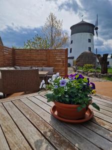 Fotografie z fotogalerie ubytování Igluhut Molino v destinaci Püchau