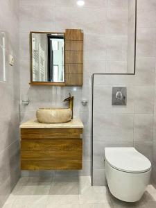 Mount Inn Villa في باكورياني: حمام مع حوض ومرحاض ومرآة