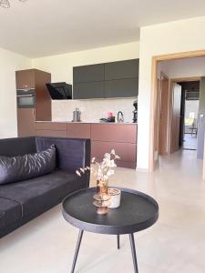Kuchyň nebo kuchyňský kout v ubytování Apartmány Mušlov