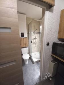 Ένα μπάνιο στο Studio plein centre des 2 Alpes +26 φωτογραφίες