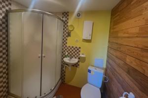 een badkamer met een douche, een toilet en een wastafel bij Vītolu dīķi - atpūtas mājiņas ar makšķerēšanu in Durbe