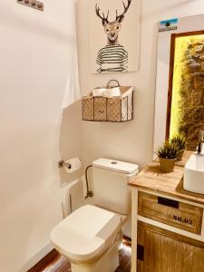 a bathroom with a toilet and a sink at Apartamenty Sudeckie nad zalewem in Sosnówka