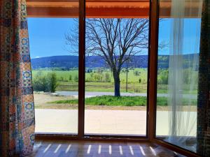 a window with a view of a tree at Domek w Lasówce in Lasowka +6 photos