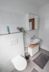 ein weißes Badezimmer mit Toilette und Waschbecken in der Unterkunft Gemütliche Wohnung in Koblenz in Koblenz