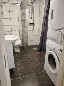 a bathroom with a washing machine and a toilet at Bockara StayEasy in Bockara +9 photos