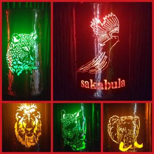 un groupe de lumières de couleur différente avec un oiseau et un tigre dans l'établissement Sakabula Country Lodge, à Camperdown