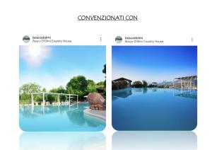 uma imagem de uma página web de uma piscina em B&B da Carmela em SantʼAmbrogio sul Garigliano
