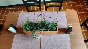 a wooden box with flowers in it on a table at Molo27 CITRA 3979 in Genova