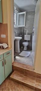 uma casa de banho com um lavatório e um WC. em Apartman Nina em Risan