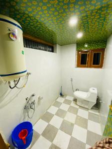a bathroom with a toilet and a green ceiling at The GRITTI CASTLE HOTEL AND RESTAURANT in Kanzalwan