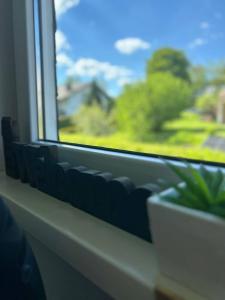 ヴィンターベルクにあるFerienwohnung Michelの窓枠の鉢植え窓