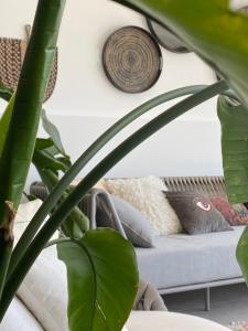 a living room with a couch and a plant at Luxury villa Panoramic Sea View Near Monaco in Éze +50 photos
