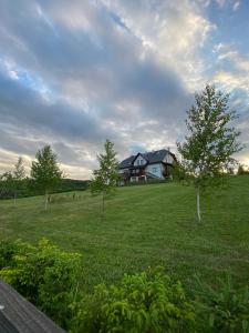 a house in a field with trees in the grass at Wilcza Chata in Polańczyk